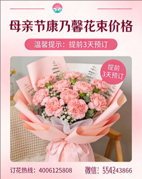 商洛镇安县花店母亲节康乃馨花束