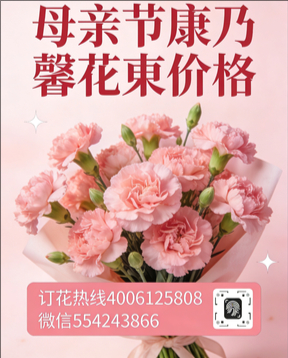 商洛镇安县花店母亲节康乃馨花束